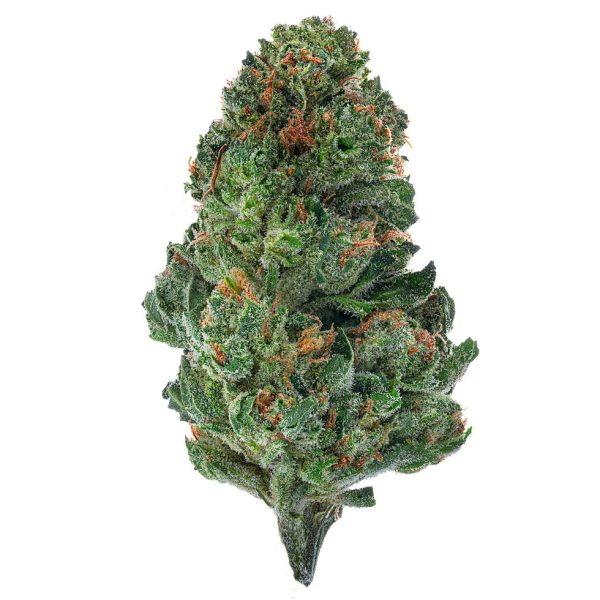 Tahoe OG 4 Grams Indica