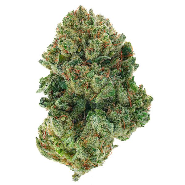 Gorilla Glue 4 Grams Indica