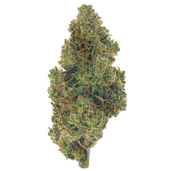 Jack Herer 4 Grams Sativa Jack Herer 4 Grams Sativa