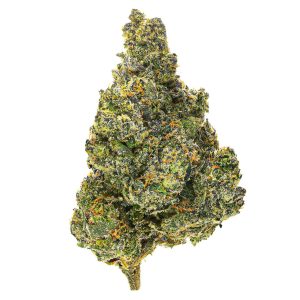 Lato Pop 4 Grams Hybrid