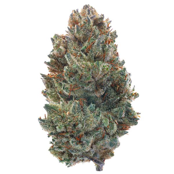 Pre 98 Bubba 4 Grams Indica